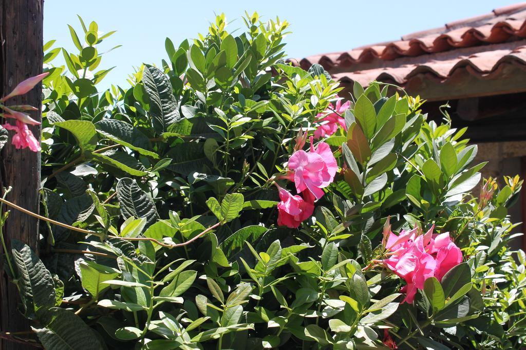 Casa Rural Anton Piche With Pool-Adults Only Granadilla De Abona Exterior photo